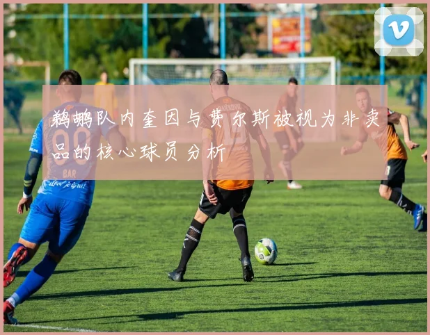 鹈鹕队内奎因与费尔斯被视为非卖品的核心球员分析