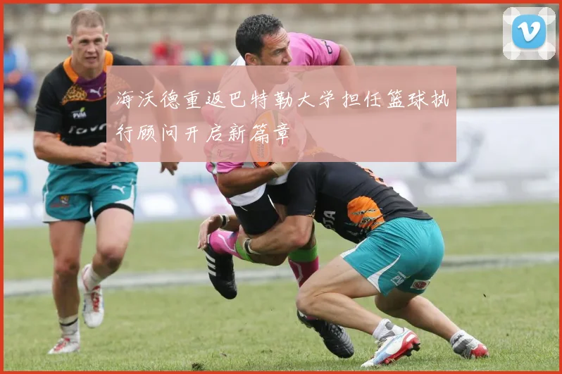 海沃德重返巴特勒大学担任篮球执行顾问开启新篇章