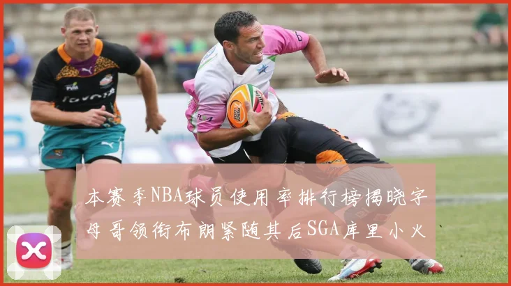 本赛季NBA球员使用率排行榜揭晓字母哥领衔布朗紧随其后SGA库里小火车紧追不舍