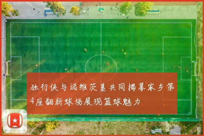 独行侠与诺维茨基共同揭幕家乡第4座翻新球场展现篮球魅力